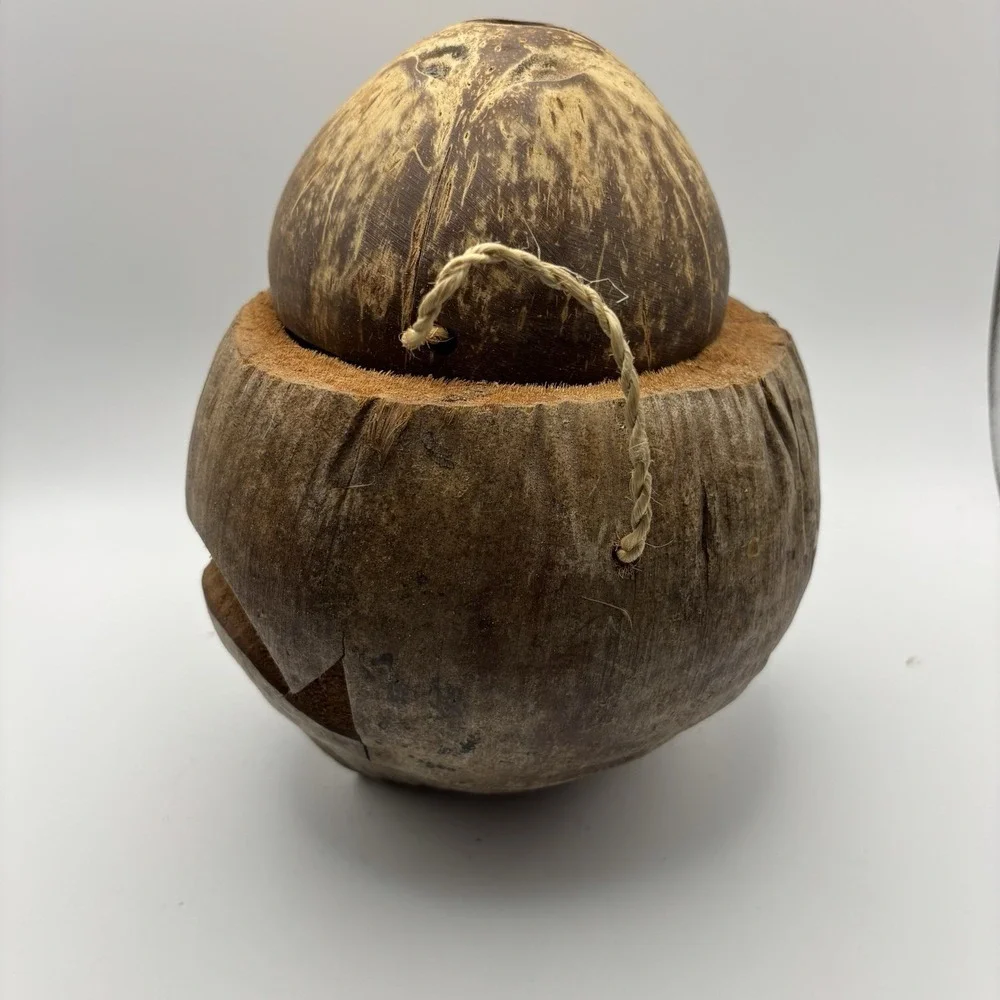 Hand Carved Coconut Monkey Bank Raw‎ from Indonesia 8x6x6